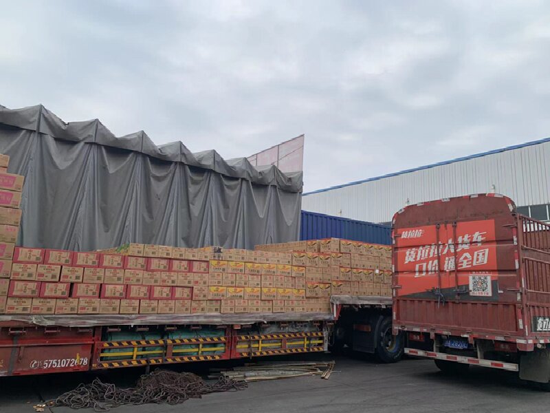 樂山至洛江區(qū)物流公司