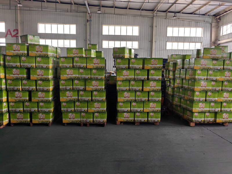 樂山至撫松物流公司