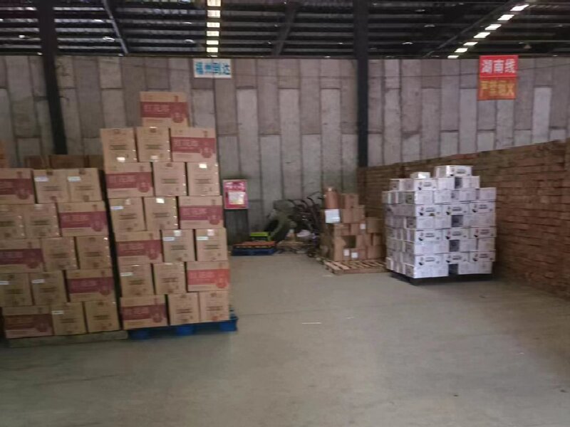 眉山至博白物流公司